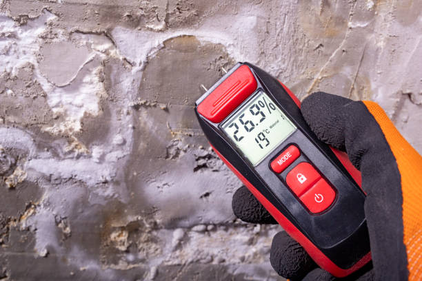 Best Mold Damage Repair  in Dunlap, IA