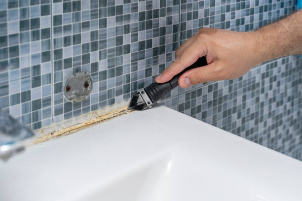 Mold Removal and Inspection in Dunlap, IA
