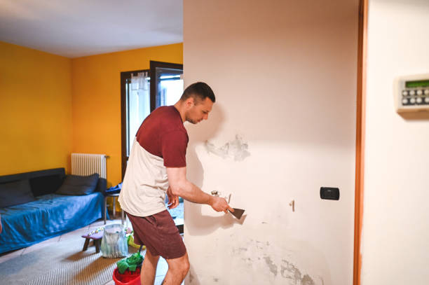 Best Attic Mold Removal  in Dunlap, IA